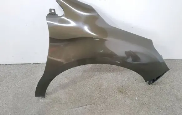 Citroen DS4 Fender