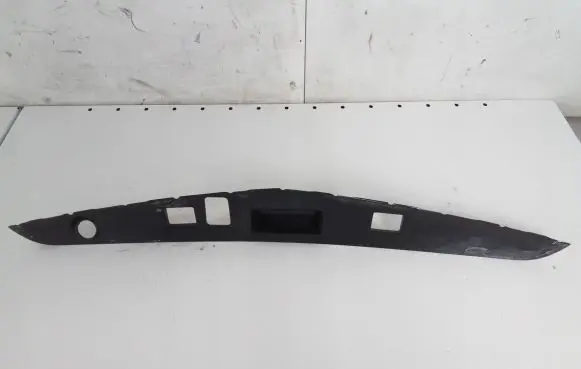 Trunk door license plate light bar