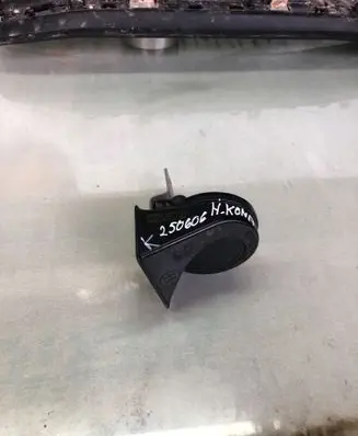 Hyundai Kona II Horn signal 96621be000