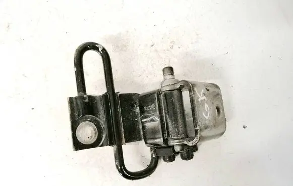 Rear door lower hinge