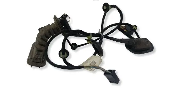 Volkswagen PASSAT B6 Rear door wiring loom 3C4971694