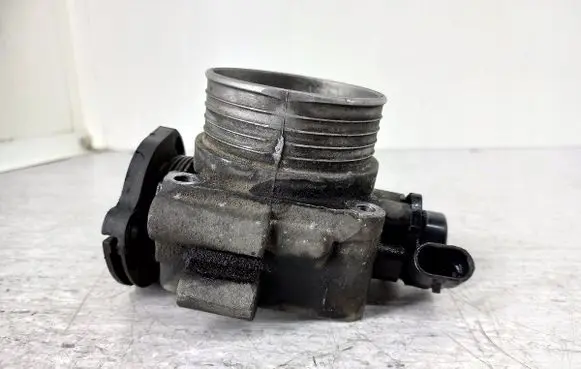 Throttle body valve