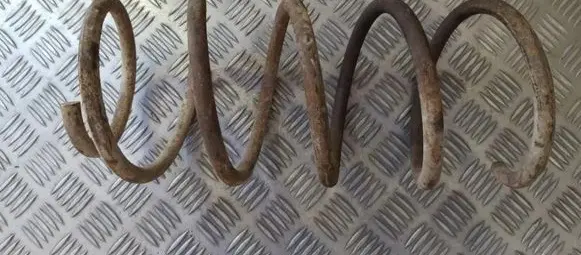 Rear coil spring