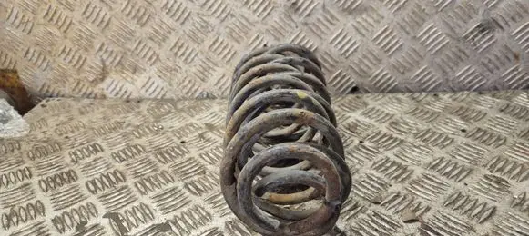 Volkswagen Polo IV 9N3 Rear coil spring 