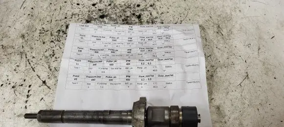 Peugeot Partner Fuel injector 0445110239