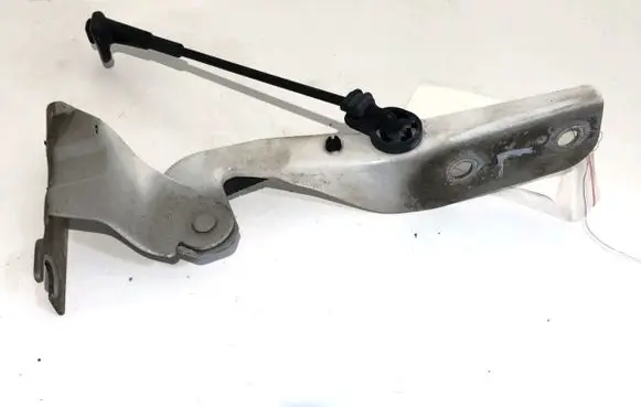 Volkswagen Up Engine bonnet/hood hinges 1S0823301