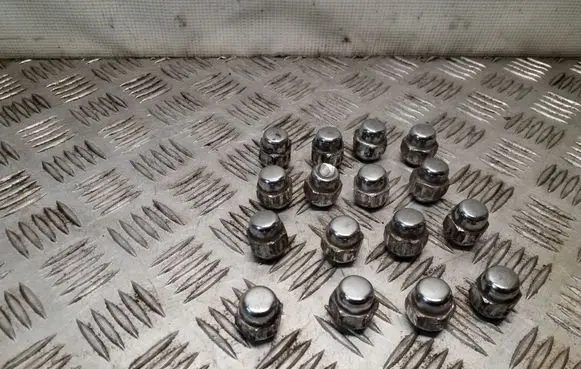 Nissan Juke I F15 Nuts/bolts 