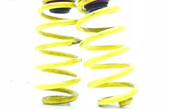 Rear coil spring