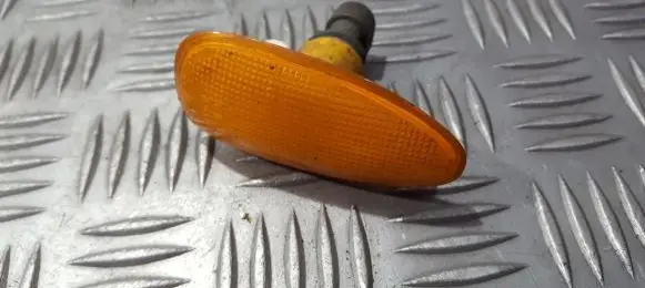 Front fender indicator light
