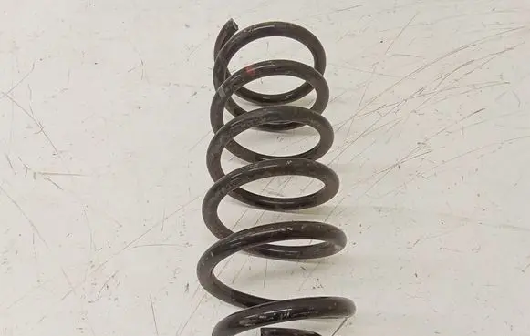 MG ZS Rear coil spring 50016285