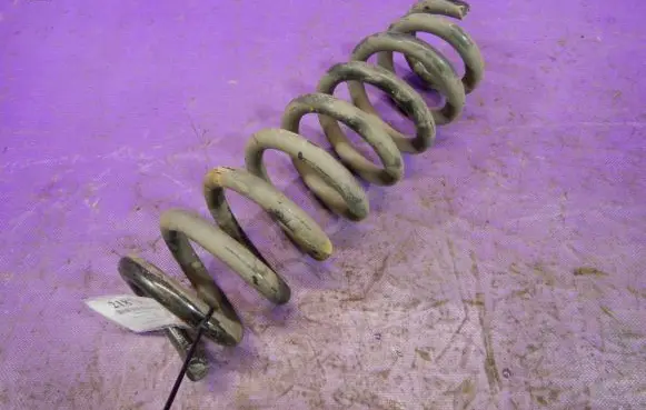 Rear coil spring