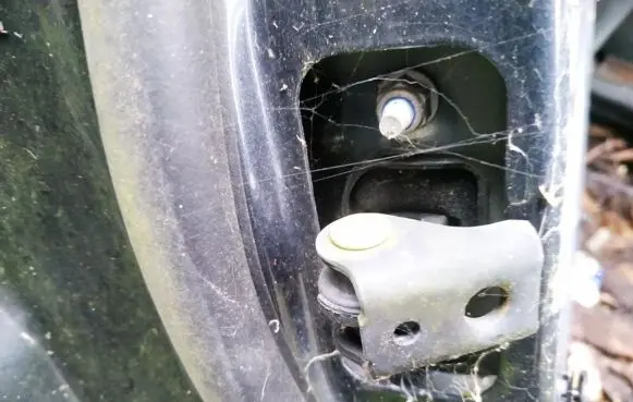 Ford Focus Rear door check strap stopper