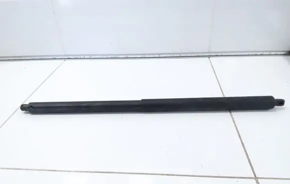 Tailgate strut