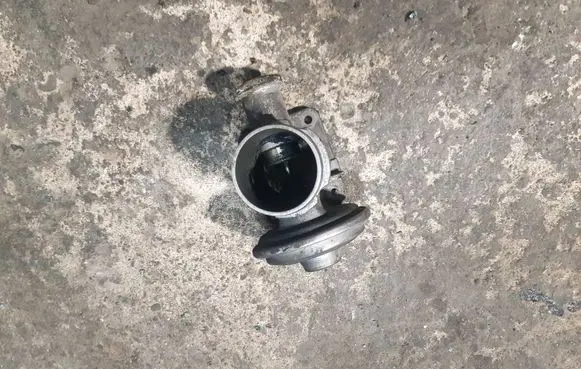 BMW 5 E39 EGR valve