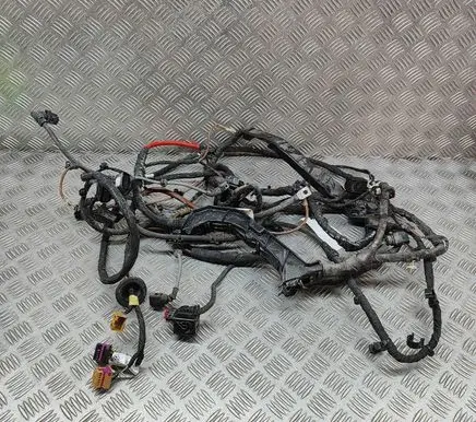 Engine installation wiring loom