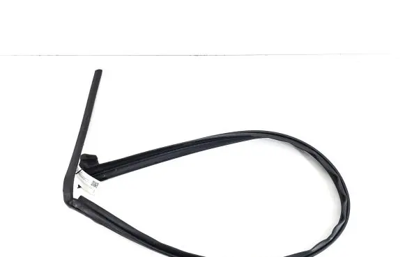 Jeep Grand Cherokee (WK) Rubber seal rear door 55399017