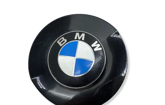 BMW Z4 E85 E86 Front indicator light 69165619 7033065