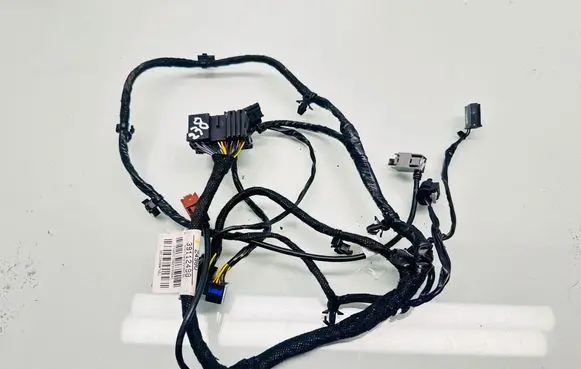 Other wiring loom