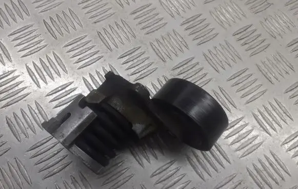Skoda Fabia Mk1 (6Y) Alternator belt tensioner pulley 03D133319C