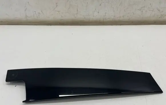 Renault Austral Front door glass trim molding 802857225R