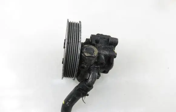 Volkswagen Phaeton Power steering pump 3D0422154F