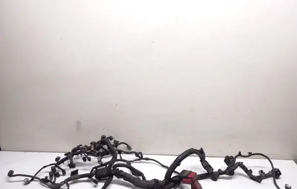 Nissan Juke I F15 Engine installation wiring loom