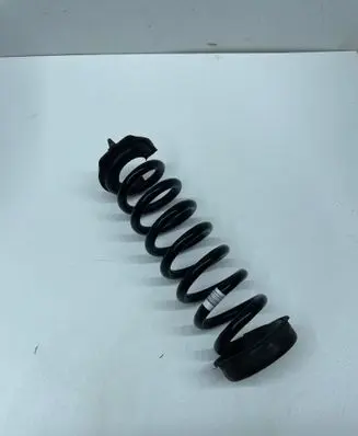 Rear coil spring