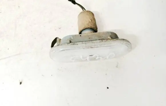 Front fender indicator light