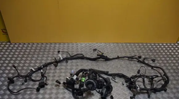 Ford F150 Engine installation wiring loom LL3T-12A581-CCC NB2221913086538