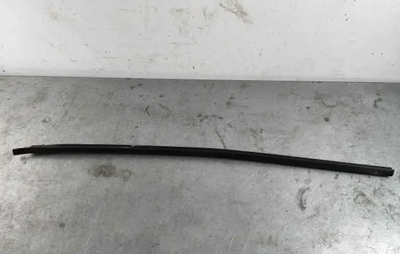 Land Rover Discovery Sport Front door glass trim molding LR058621