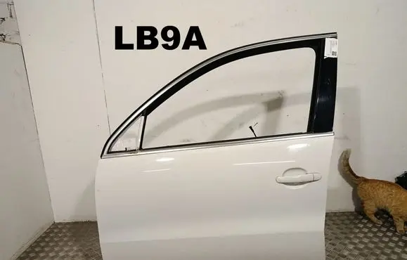 Volkswagen Tiguan Front door 