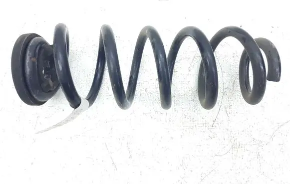 Ford Escape IV Rear coil spring LX615560 LX615560NMD L51912020
