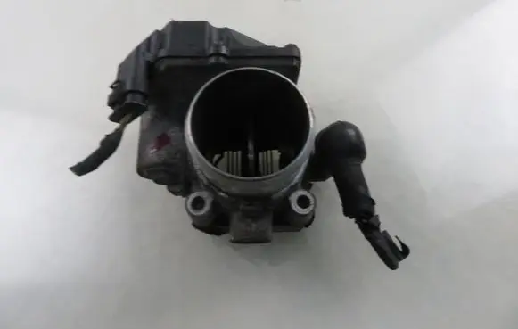 Throttle body valve