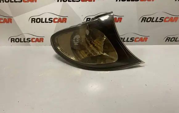 BMW 3 E46 Front indicator light 6914200