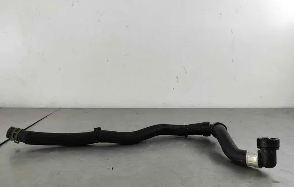 Renault Zoe Engine coolant pipe/hose 110613065r