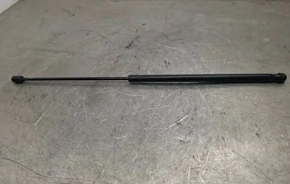 Opel Signum Front bonnet/hood damper/strut 24454473