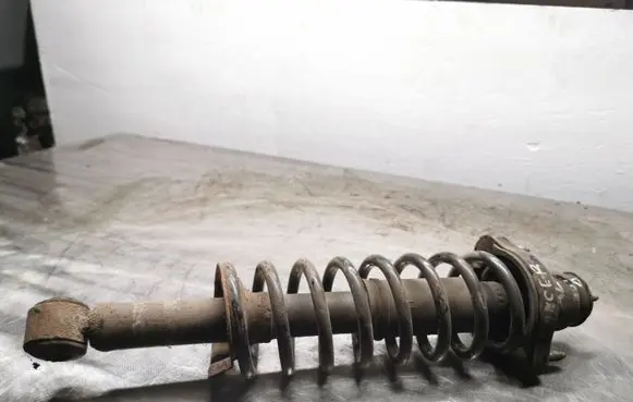 Mitsubishi Lancer X Rear shock absorber with coil spring 