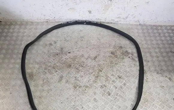 Ford Transit - Tourneo Connect Front door rubber seal DT11-V20530-AL