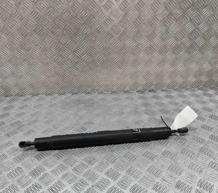BMW X6 E71 Tailgate/trunk strut/damper 7201939