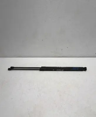 Opel Mokka Tailgate/trunk strut/damper 95095593
