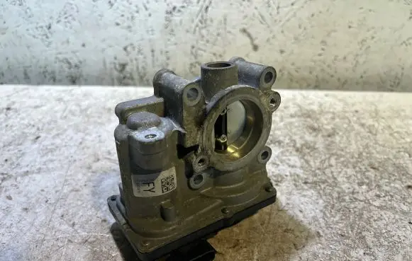 Dacia Sandero Throttle valve 161206038R 00255 8801171280