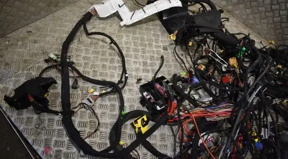 Porsche Cayenne (9Y0 9Y3) Other wiring loom INSTALACJA9Y24R.55