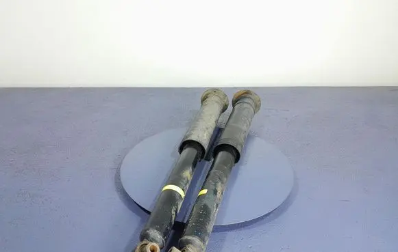 Rear shock absorber/damper