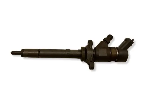 Citroen C4 I Picasso Fuel injector 0445110259 19178