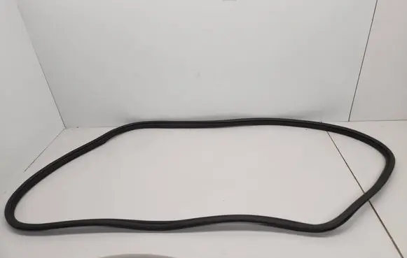 Citroen C5 Front door rubber seal 