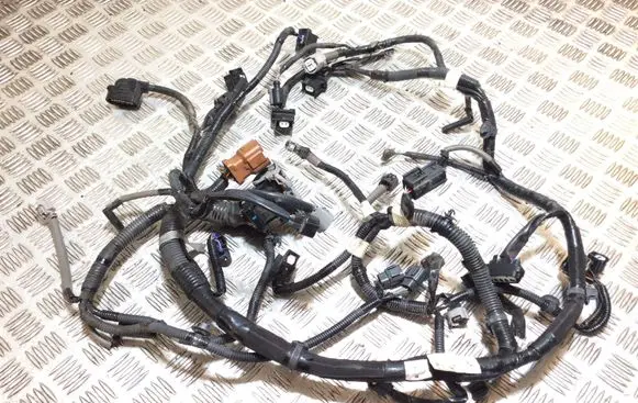 Engine installation wiring loom
