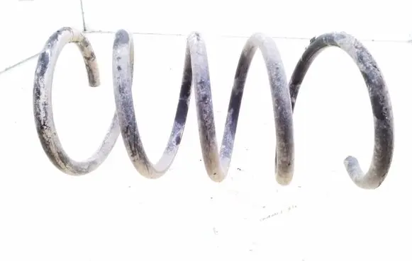 Volvo S60 Rear coil spring