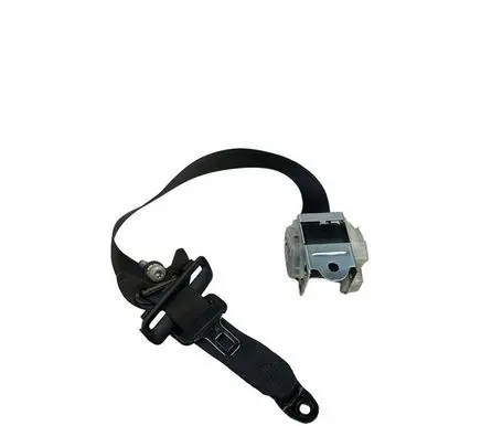 Dodge Charger Rear seatbelt T14K410700252