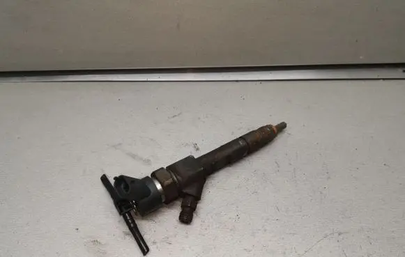 Renault Laguna II Fuel injector 8200100272 0445110110B