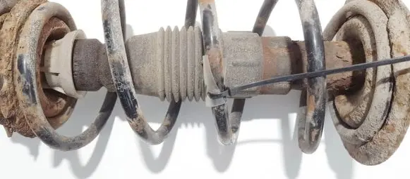 Fiat Punto (188) Front coil spring